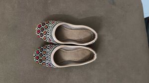 Embroidered Indian Jutti Shoes