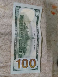 Dollar 100