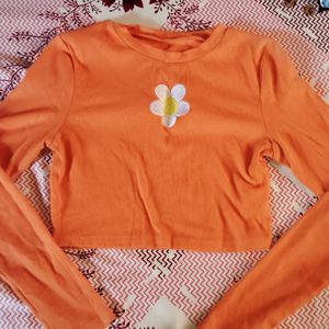 Urbanic Full Sleeve Crop Top