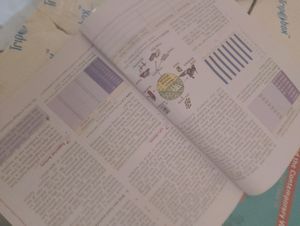 Ncert Sst Books Of Class 9th