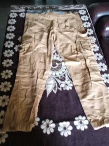 Mens Cargo Pant