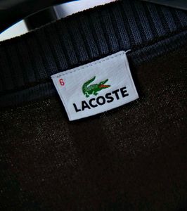 Lacoste Brown Cardigan