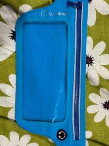 Waist Pouch