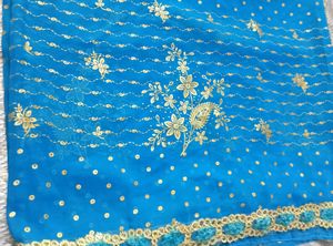 😻🩵 Party Wear Saree