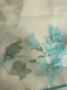 Organza Saree
