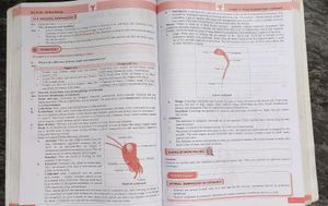 Class 11th Maharashtra Board Biology Target