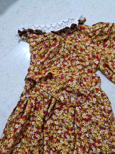 Floral Mini Dress with Lace Collar