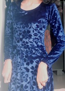 Blue Floral Velvet Dress