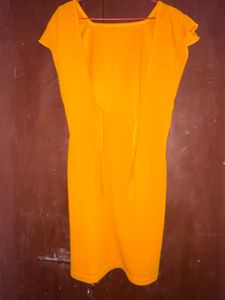 Mustard Dress with Ruffle Sleeves