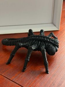 Gothic Facehugger – Cathedral of Nightmare