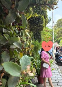🌸BAESD Pink ruched Dress🌸