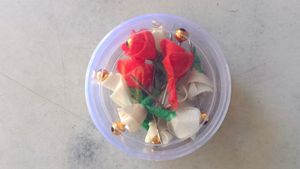 Hair Bun Pin Accessories (For 4 Boxes 60rs)