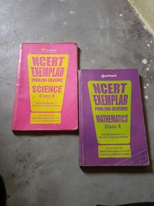 Science And Mathematics NCERT examplar Class 10