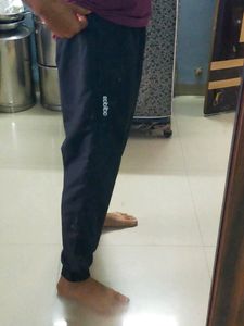 Original Adidas Jogger Track Pant For Men