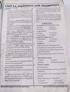 Zoology Jr. &amp; Sr. Inter Books front cover little b