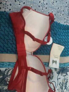 Zivame Padded Bra