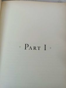 A Fictional Book By RU FREEMAN