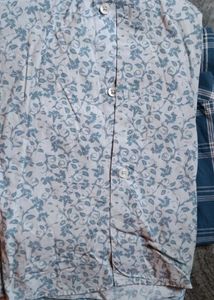 Men Colorplus Brand Shirt