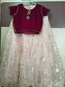 Brand New Lehenga Choli