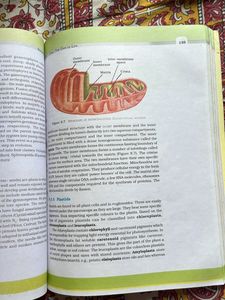 Biology Textbook For Class 11