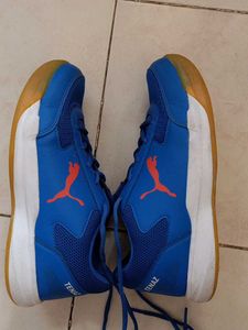 PUMA Blue Badminton Shoes
