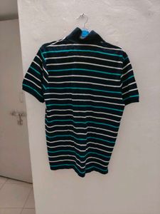 Striped Polo T-Shirt