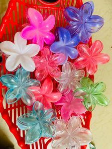 Korean Claw Clips Trending