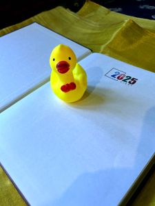 2025 Diary Big Size