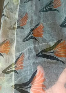 Beautiful Multi Colour Organza Dupatta,👌