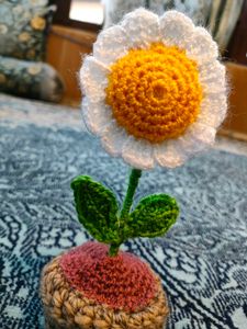 Chrocheted Flower Pot