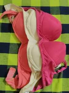 sponge cup bra