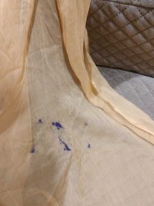 Elegant Dupatta