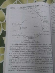 Study Notes Botany-I