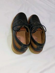 Tiger Hill Black Casual Shoes