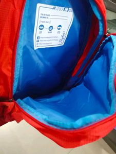 Skybags Backpack
