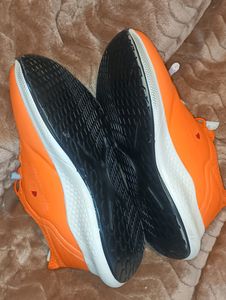 Champion Running Shoes.