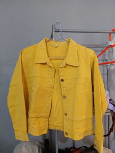 Korean Yellow Jacket 💛