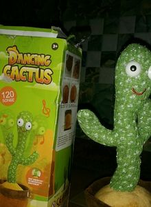 Dancing Cactus On Sale