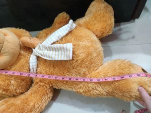 Cute Teddy - Giant Baby 🧸
