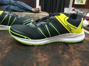 Adidas Sport Shoes (New)