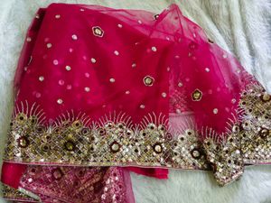 Sequence work pink netted saree