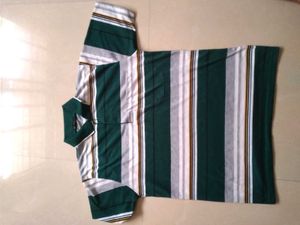 Polo tshirt For Men