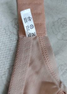 Set of 4 Daily Wear Padded Bra