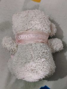 Cute mini Teddy Bear