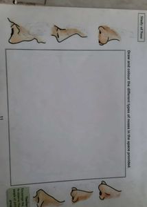 BOOK to learn Drawing