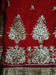 A New Saree