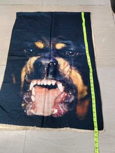 Givenchy Rottweiler scar
