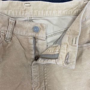 Uniqlo Corduroy Pant