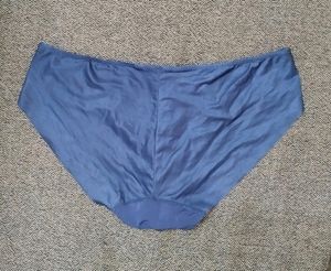 Blue Silk Panty