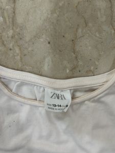 Zara Organza Sleeves Top